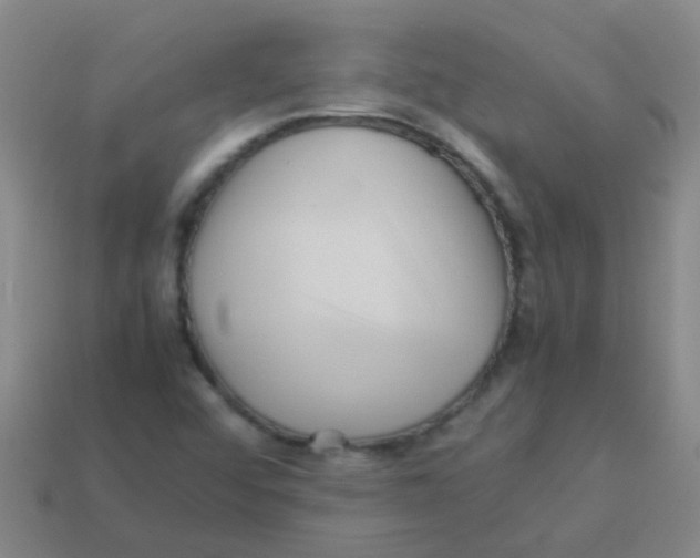 X0000113541456200910161401