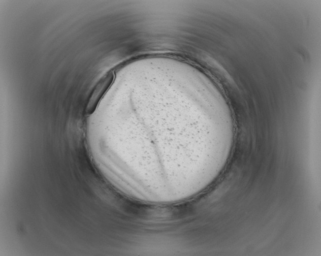 X0000113541457200910161401