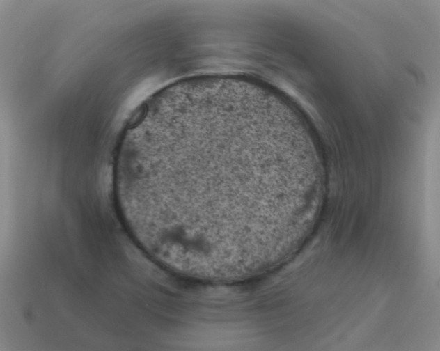 X0000113541459200910161401