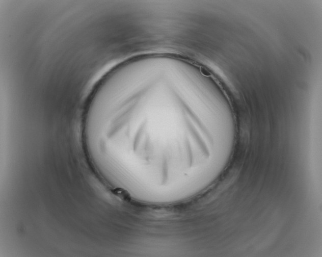 X0000113541460200910161401