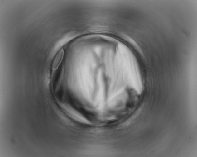 X0000113541461200910161401