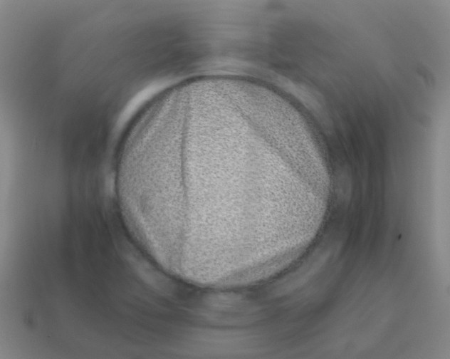 X0000113541462200910161401