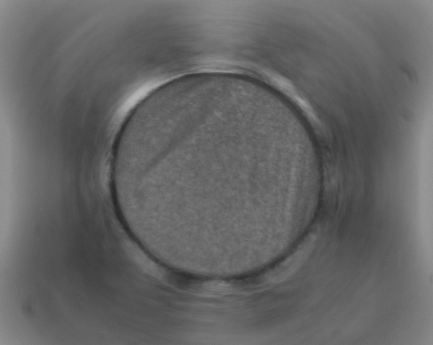 X0000113541463200910161401