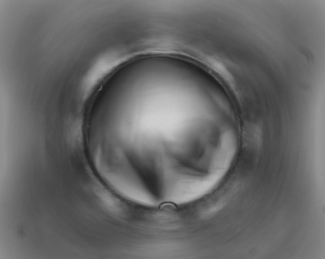 X0000113541464200910161401