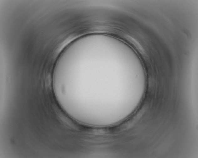 X0000113541465200910161401