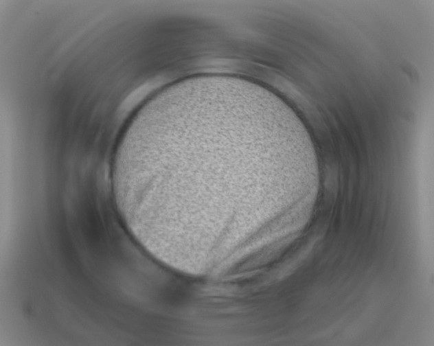 X0000113541466200910161401