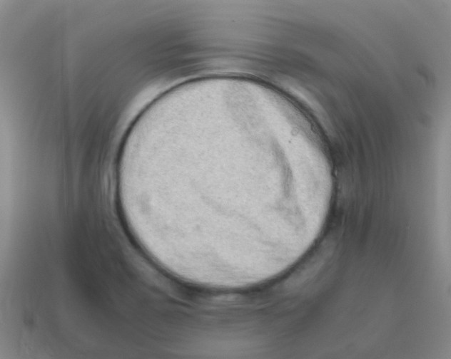 X0000113541467200910161401