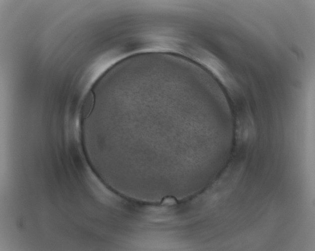 X0000113541468200910161401