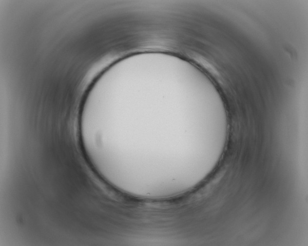 X0000113541469200910161401