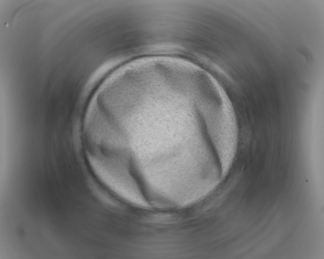 X0000113541470200910161401