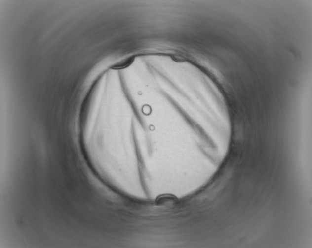 X0000113541471200910161401