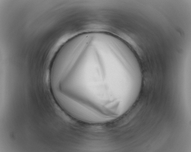 X0000113541472200910161401