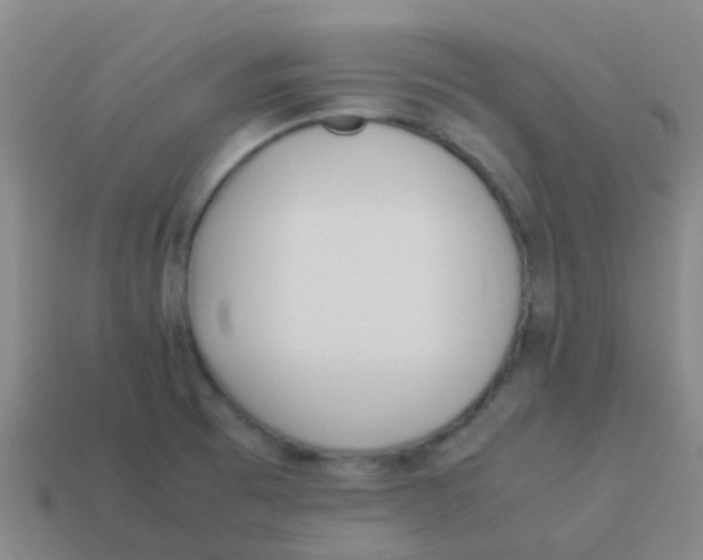 X0000113541473200910161401