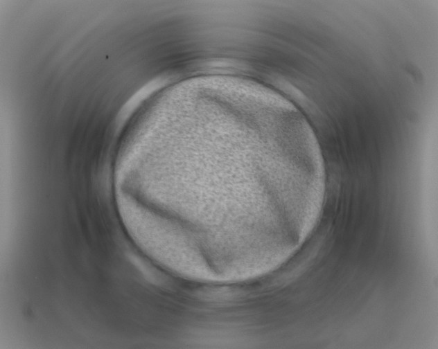 X0000113541474200910161401