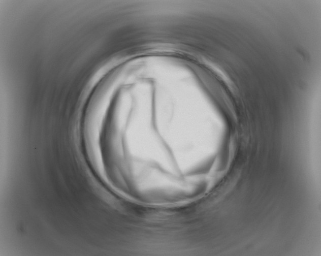X0000113541475200910161401