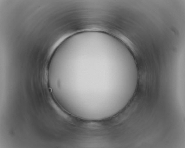 X0000113541476200910161401