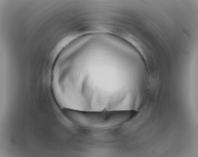 X0000113541477200910161401