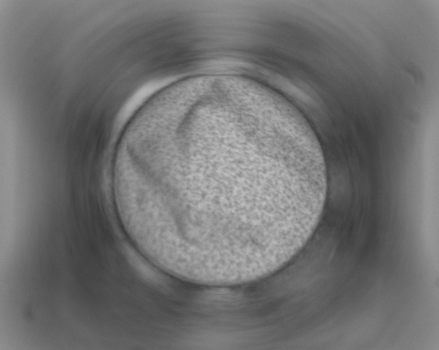X0000113541478200910161401