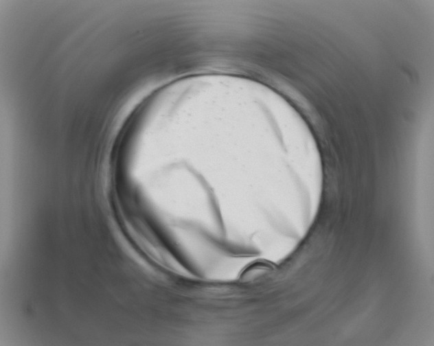 X0000113541479200910161401