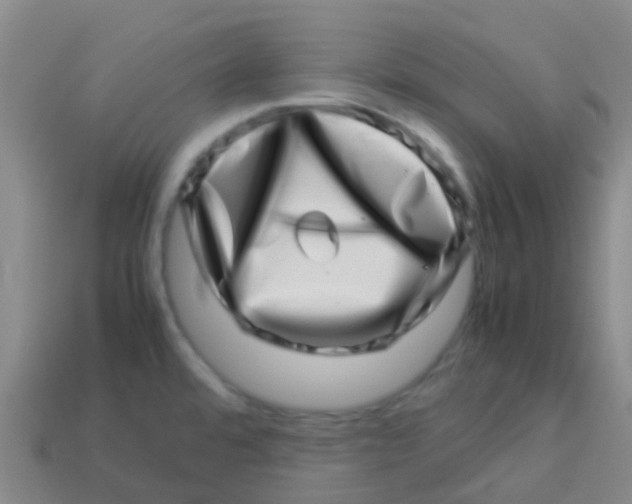 X0000113541480200910161401