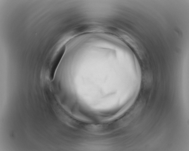 X0000113541481200910161401