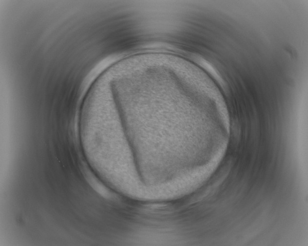 X0000113541482200910161401