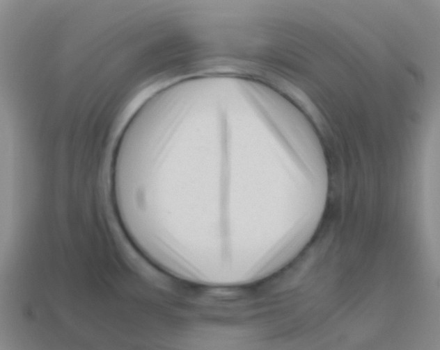 X0000113541483200910161401