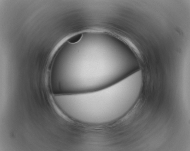 X0000113541484200910161401