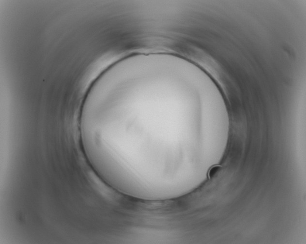 X0000113541485200910161400