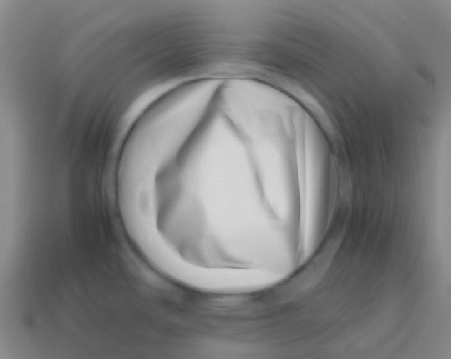 X0000113541486200910161400
