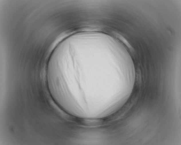 X0000113541487200910161400