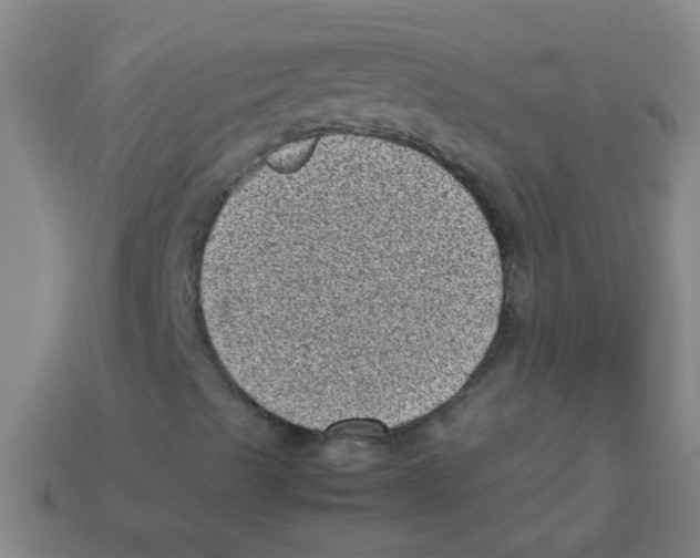 X0000113541489200910161359