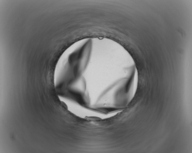 X0000113541490200910161359