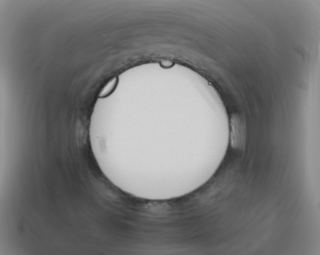 X0000113541491200910161359