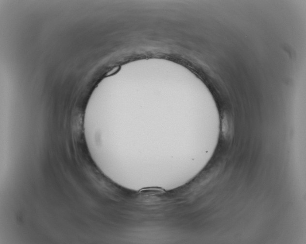 X0000113541492200910161400