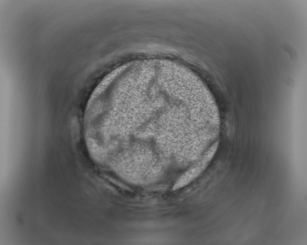 X0000113541493200910161400