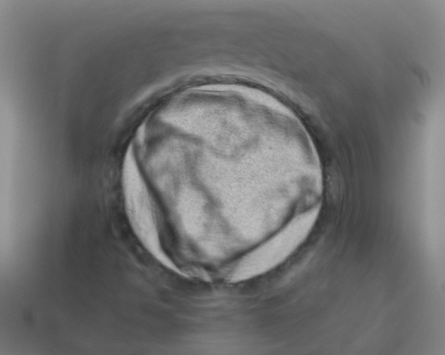 X0000113541494200910161400
