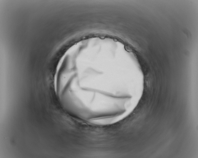 X0000113541495200910161400