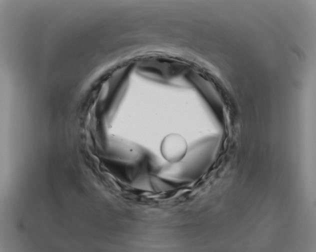 X0000113541496200910161400