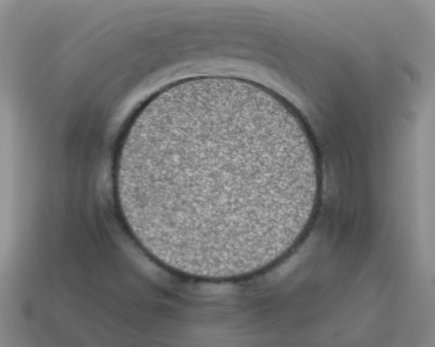 X0000113541498200910161400