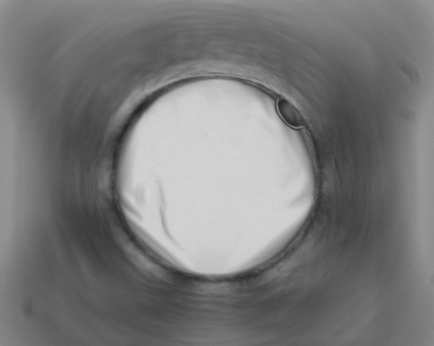 X0000113541499200910161400