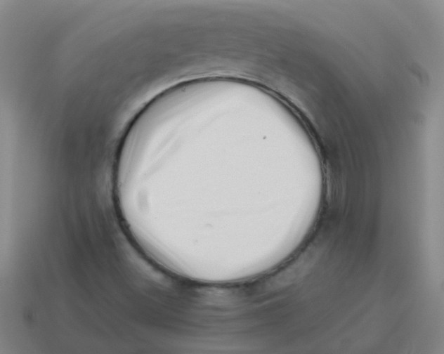 X0000113541500200910161400