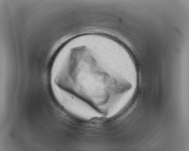 X0000113541501200910161400