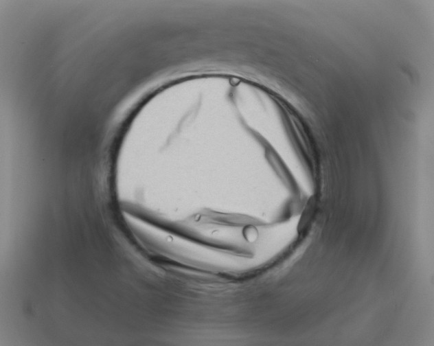 X0000113541502200910161400