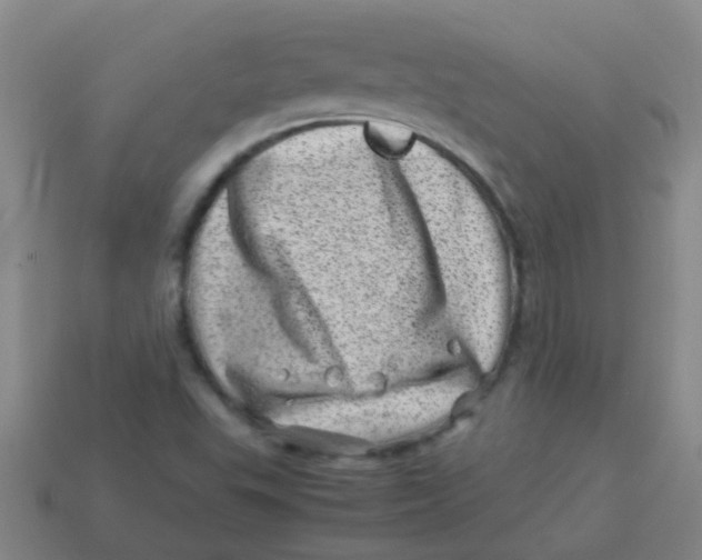 X0000113541503200910161400