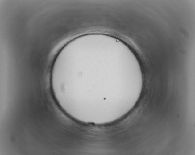 X0000113541504200910161400