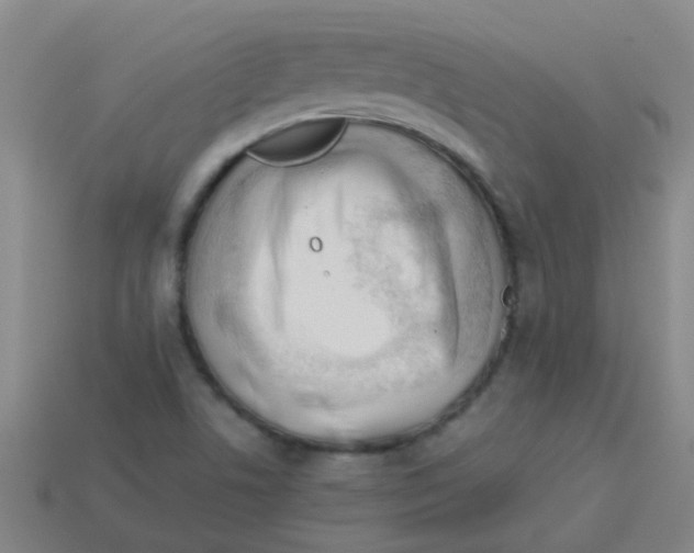 X0000113541506200910161400