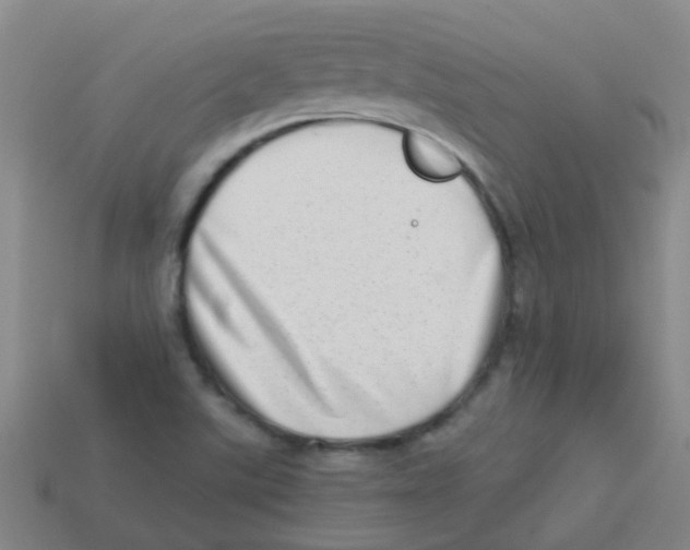 X0000113541507200910161400