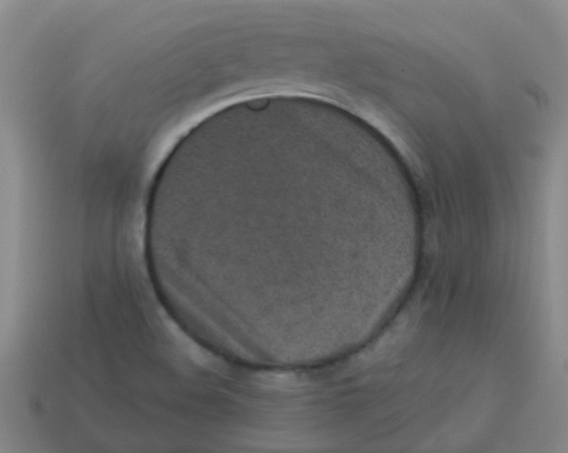 X0000113541508200910161400