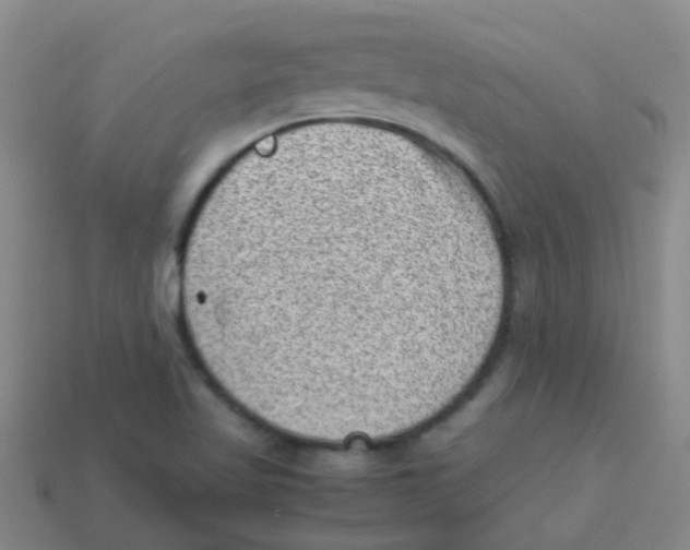 X0000113541509200910161400